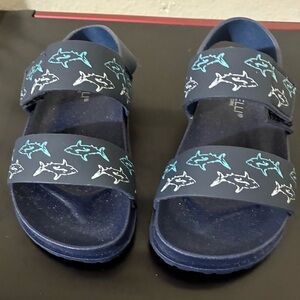 Capelli New York Toddlers Boys Sandals